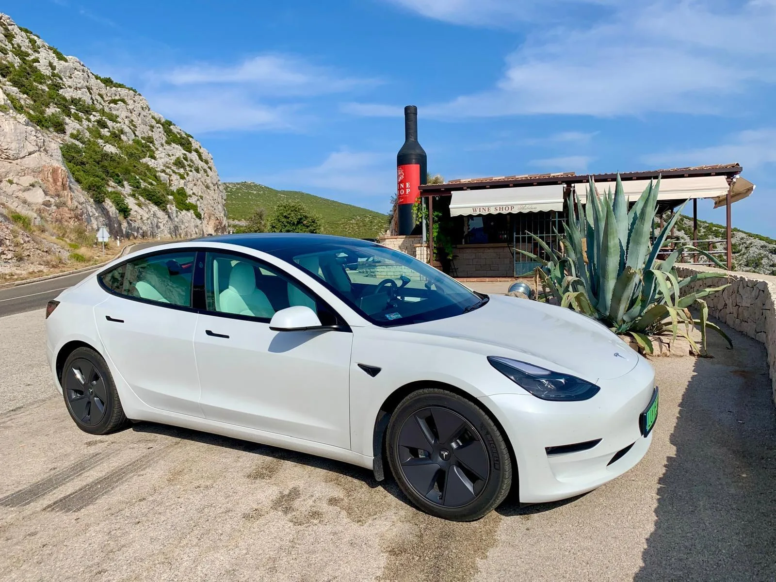 Wpływ temperatury na elektronikę i układy pomocnicze Tesli, czyli jak chronić auto?